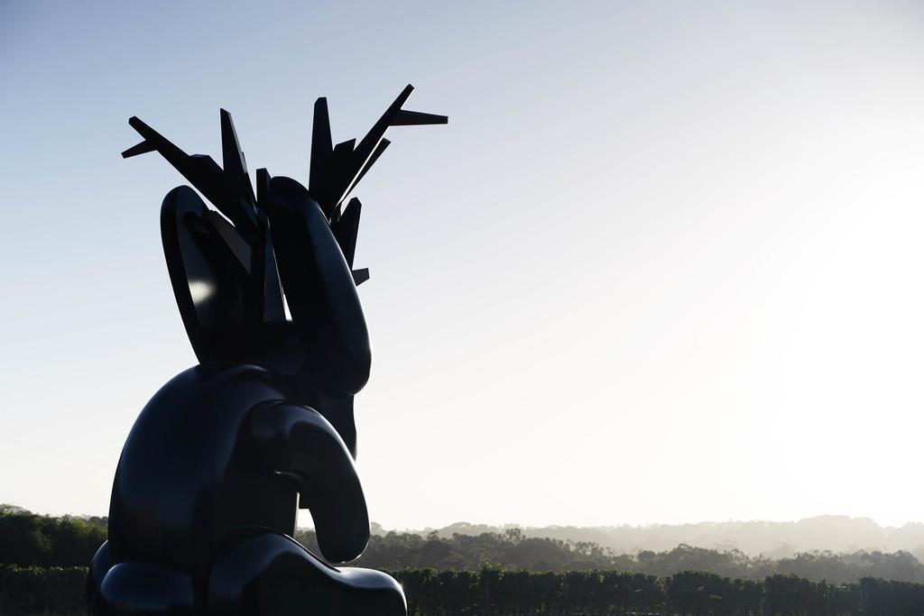 Jackalope Hotel Merricks North エクステリア 写真